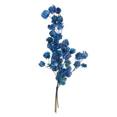 blue flowers are arranged in a vase on a white background, with the stems still attached