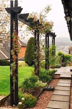 an outdoor garden with lots of plants and trees