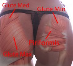 Body Muscle Anatomy, Muscular System Anatomy, Workout Glutes, Piriformis Muscle, Massage Therapy Techniques, Piriformis Syndrome