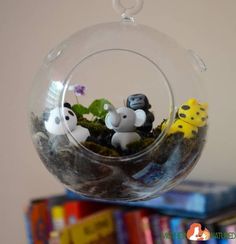 kids terrarium - Google Search Terrariums Kits, Ceramic Fish, Sea Inspired, Summer Crafts, Summer Camp