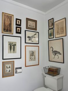 a white toilet sitting next to a wall covered in pictures and framed art on it