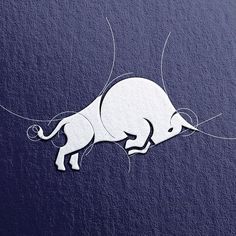 a white bull logo is shown on a dark blue background with the word bulls written below it