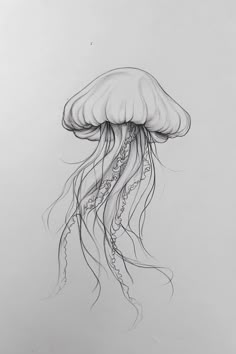 a drawing of a jellyfish in black and white