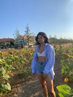 Sunflower field blue shirt, white bralette and jean shorts outfit Denim Shorts Shirt Outfit, Light Blue Beach Outfit, Shorts And A Shirt Outfit, Beach Jean Shorts Outfit, Beach Outfit Denim Shorts, Jean Shorts And Shirt Outfit, Jean Shorts Concert Outfit, Oversized Button Up Shirt Outfit Summer Denim Shorts, Light Blue Jean Shorts Outfit