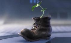 a boot with a plant growing out of it