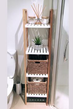 a bathroom with a toilet and shelves in it