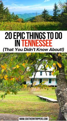 20 Epic Things to do in Tennessee (That You Didn't Know About!) Only In Your State Tennessee, Things To Do In Cosby Tn, Eastern Tennessee Things To Do, Sincerely Tennessee, Tennessee Bucket List, Smithville Tennessee, Places To Visit In Tennessee, Southern Tennessee