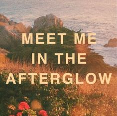 the words meet me in the afterglow are overlaid by flowers and grass