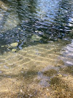 the water is crystal clear and has little ripples on it's surface,