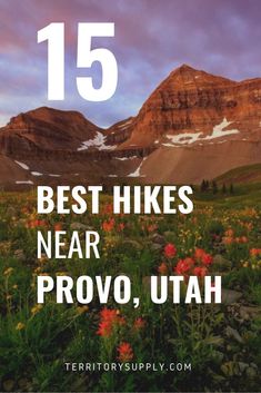 flowers and mountains with the text 15 best hikes near provo, utah