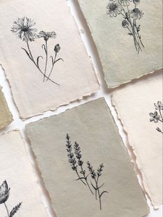 six pressed images of wildflowers on paper