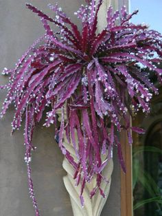 a purple plant hanging from the side of a building