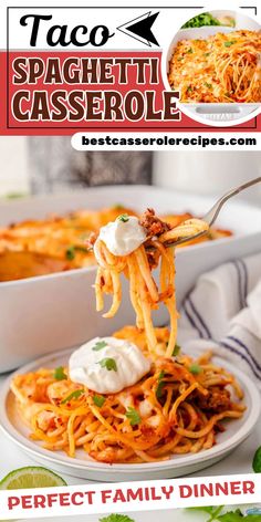 spaghetti casserole is being lifted from a white plate with sauce and parmesan cheese on top