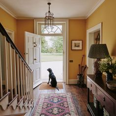 a dog sitting on the floor in front of a door with a rug underneath it