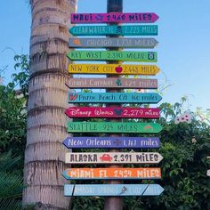 a street sign with many different colored signs on it's side next to a palm tree