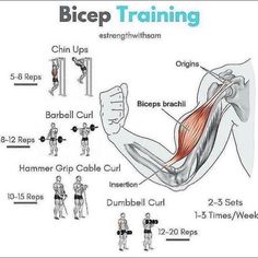 the diagram shows how to perform bicep training