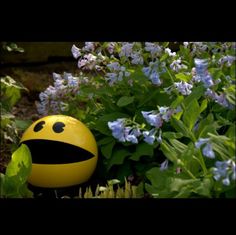 a yellow smiley face ball sitting in the middle of some blue and purple flowers with green leaves