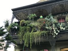 an ornate balcony with plants on the balconies and potted plants hanging from it