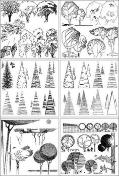 four different types of trees in black and white, each with their own drawing style