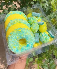 a plastic container filled with green and yellow donuts