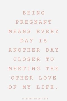 a quote that says being pregnant means every day is another day to meet the other love of my life