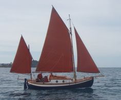 a sailboat with red sails in the ocean