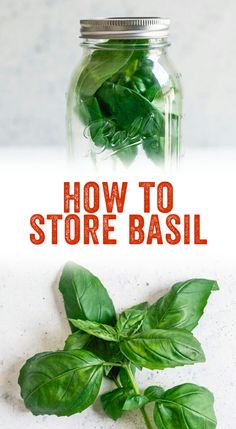 basil leaves in a glass jar with the words how to store basil on it and below