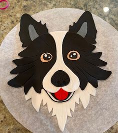 a black and white dog is on top of a round plate with scissors next to it