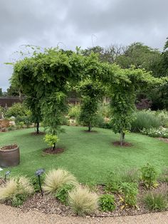 a garden with lots of green grass and trees in the center, surrounded by shrubbery