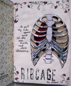 an open book with a drawing of a ribcage on it