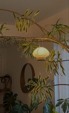 a lamp hanging from a tree branch in front of a window filled with green plants