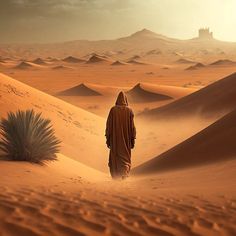 a person walking in the middle of a desert