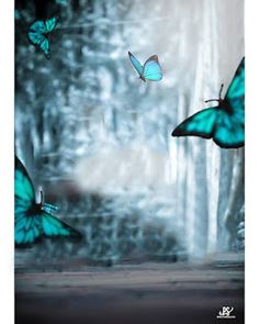 three blue butterflies flying in the air