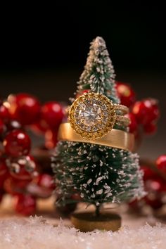 two gold rings sitting on top of each other near a small christmas tree and berries