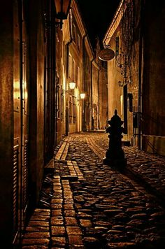 a black and white photo of a cobblestone street in an old town at night