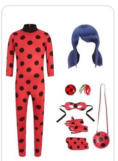 a ladybug costume is shown with accessories