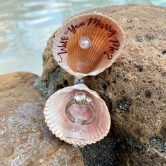 two seashells with wedding rings on them are sitting on some rocks near the water