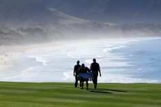 three people are walking on the grass by the beach