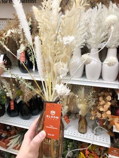 a person is holding a vase with flowers in it and there are other items on the shelves behind them