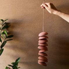 a person is holding a string with some food hanging from it