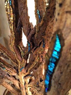 an old tree with stained glass windows in the backgrounge is seen from below