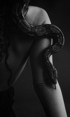 a woman holding a large snake in her hand, black and white photo with dark background