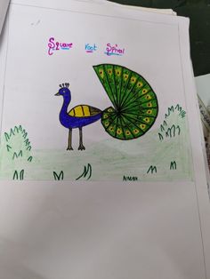 a drawing of a peacock holding an umbrella