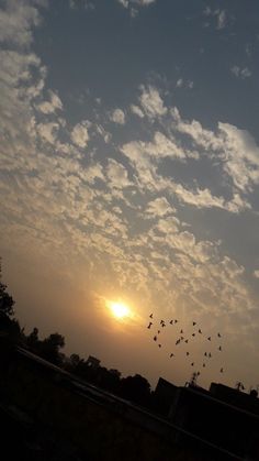 a flock of birds flying in the sky at sunset