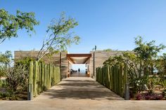 the entrance to an open air garden with cactus trees and plants on either side of the walkway