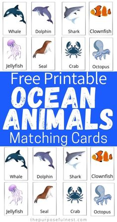 an ocean animal matching game with the words free printable ocean animals matching cards