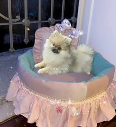 a small white dog sitting in a pink and blue pet bed on the floor next to a window