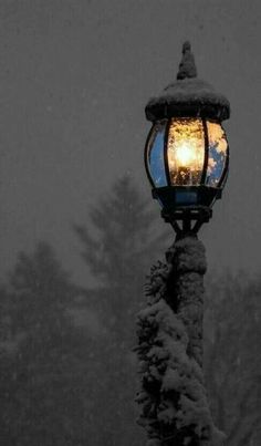 a street light covered in snow next to trees