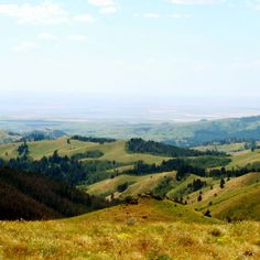 an open field with hills and trees in the distance