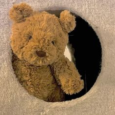 a brown teddy bear sitting in a hole